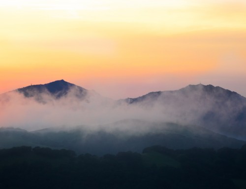 Manifestation Happens When Heaven Meets Earth